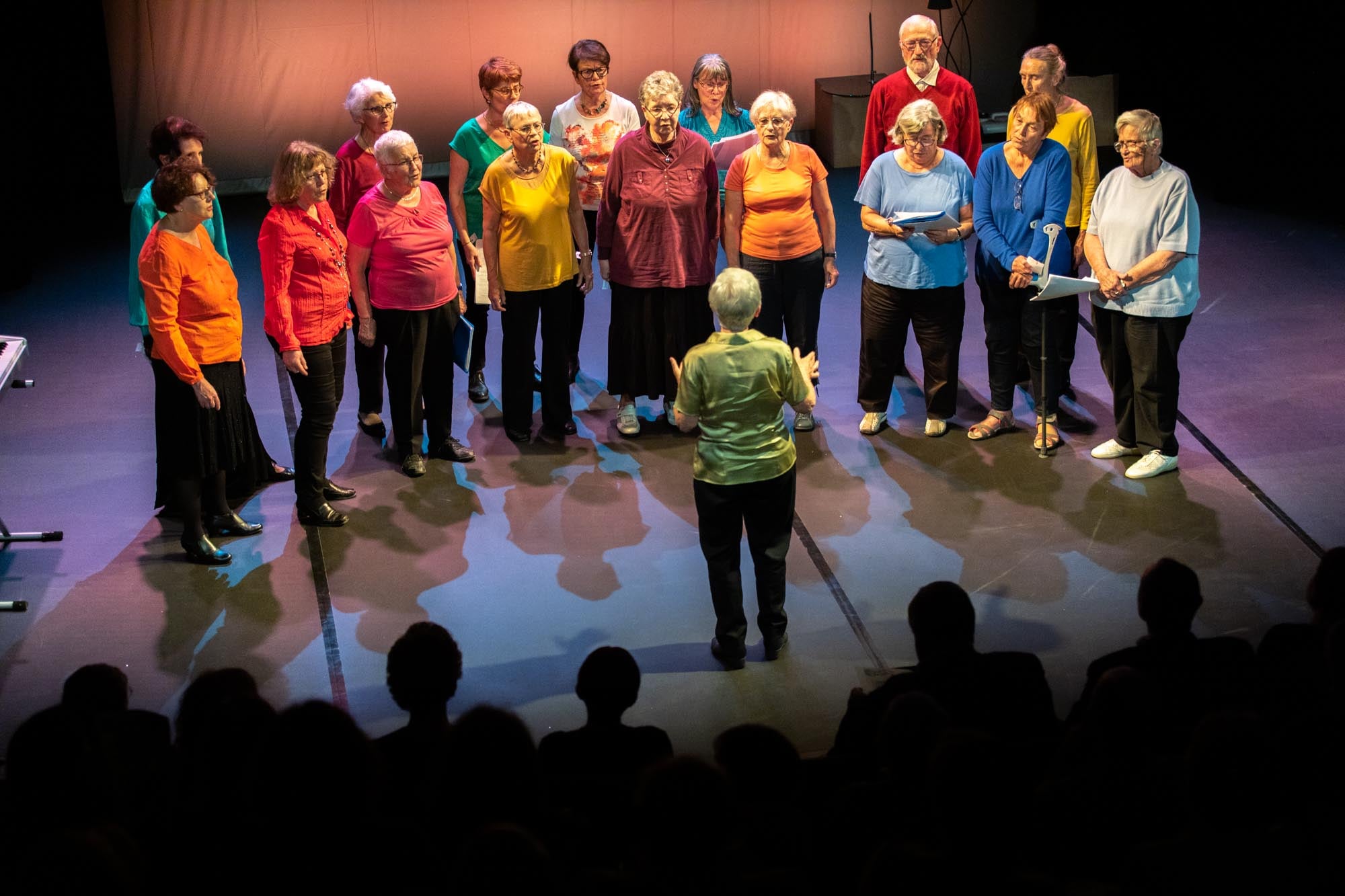 Activités Adultes chorale prémolines - MJC théâtre Prémol