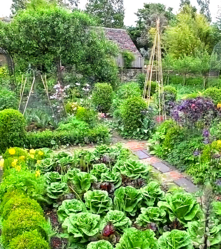 jardin potager
