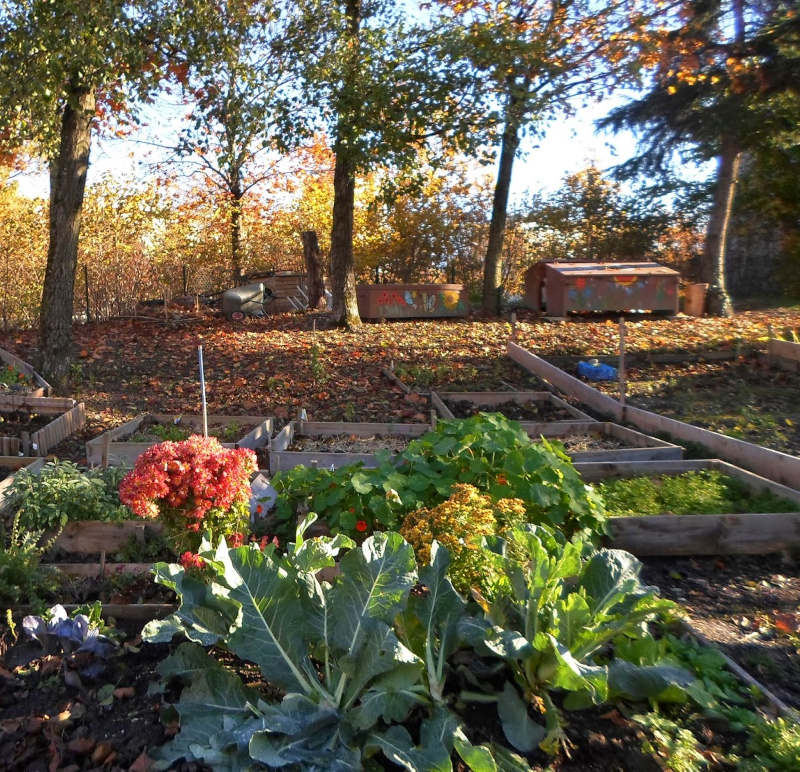 jardin en octobre